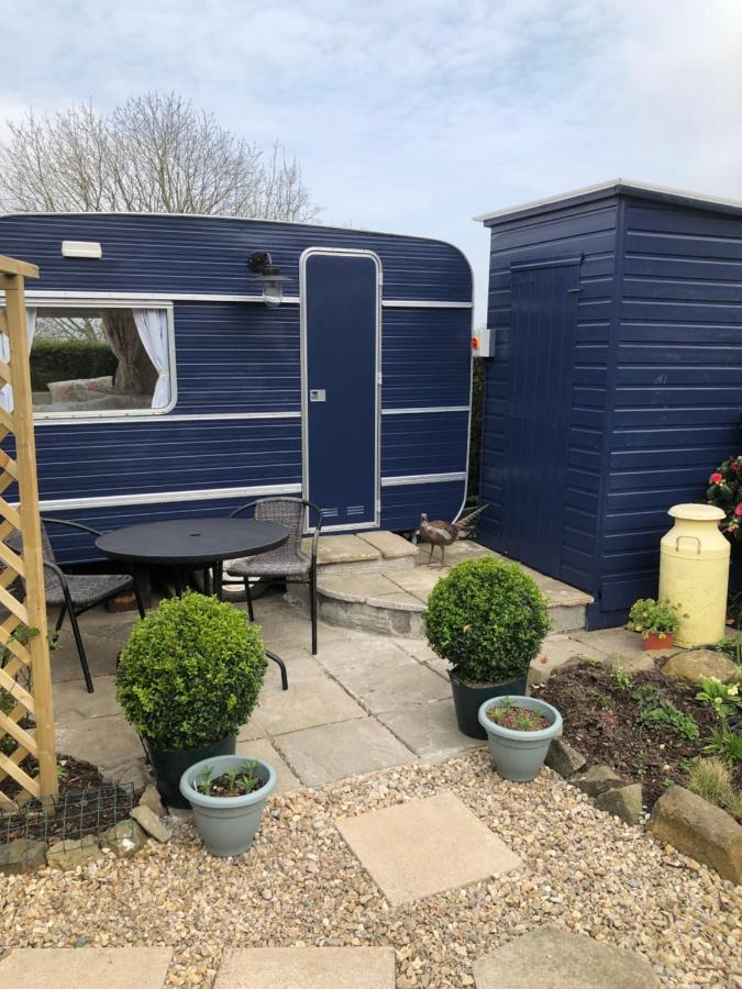 Down The Garden Path Vintage Caravan B&B , Dartmoor Newton Abbot Exterior foto