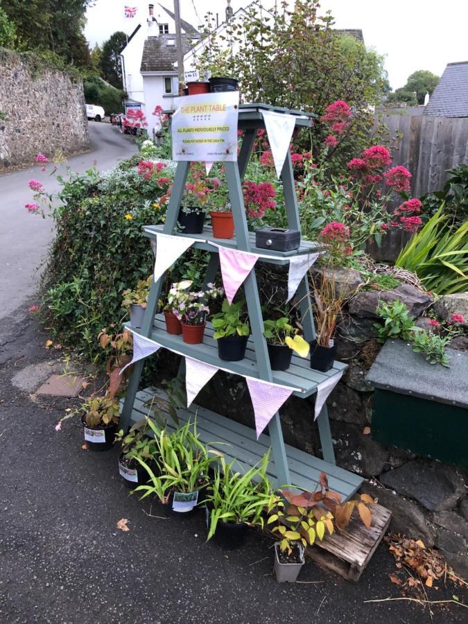 Down The Garden Path Vintage Caravan B&B , Dartmoor Newton Abbot Exterior foto